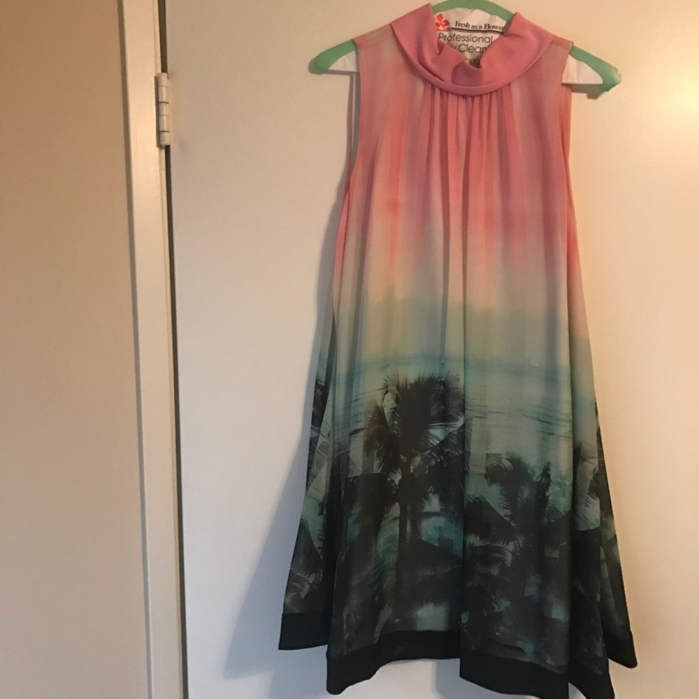 Ted Baker Dress